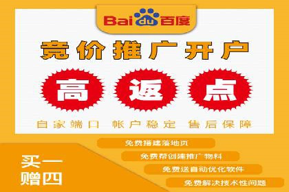 行业领先企业如何运用SEM进行精准营销